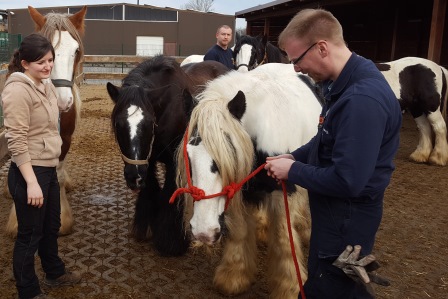 Seminar Tierrettung 2017 013
