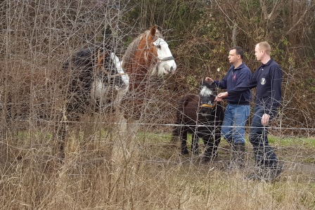 Seminar Tierrettung 2017 014