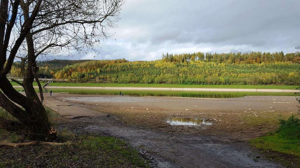 Ortsbegehung Stausee Ahl 2019 002
