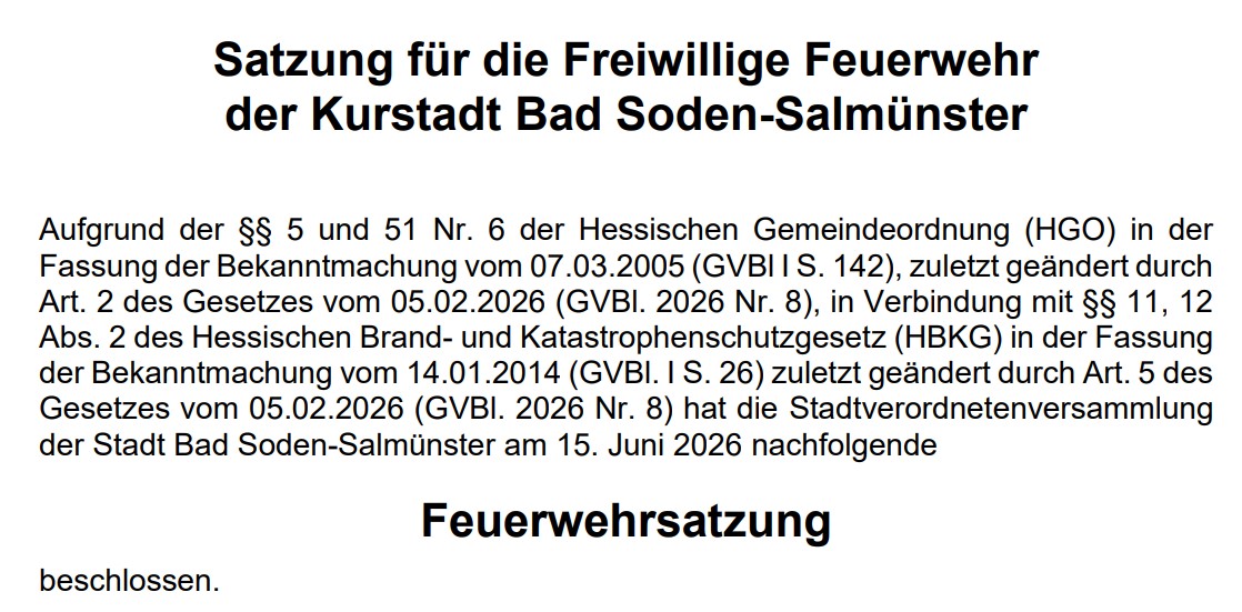 2026 06 20 Stadt BSS Feuerwehrsatzung Auszug 2026 001
