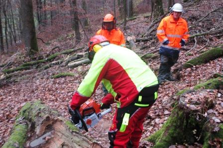 Uebung Motorkettensaegen 2016 002