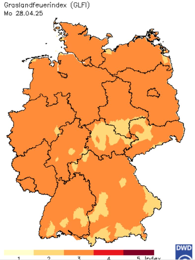2025 04 28 GLFI 001