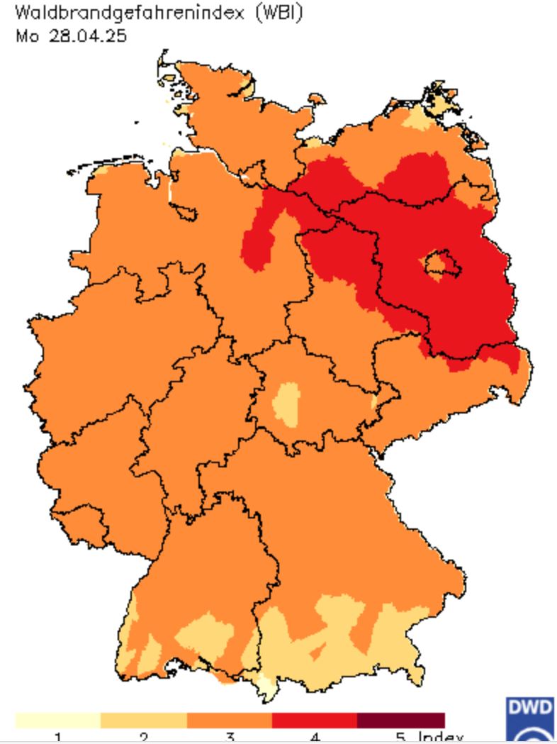 2025 04 28 WBI 001