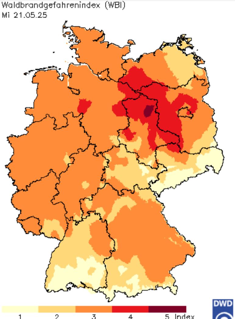 2025 05 21 WBI 001