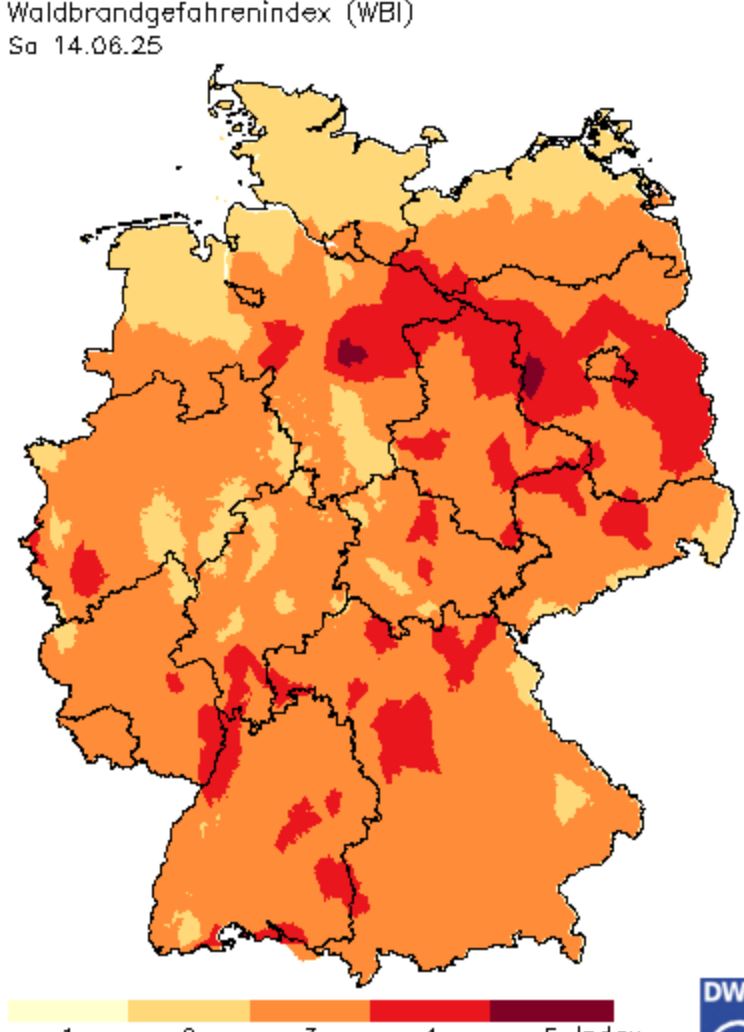2025 06 14 WBI 001